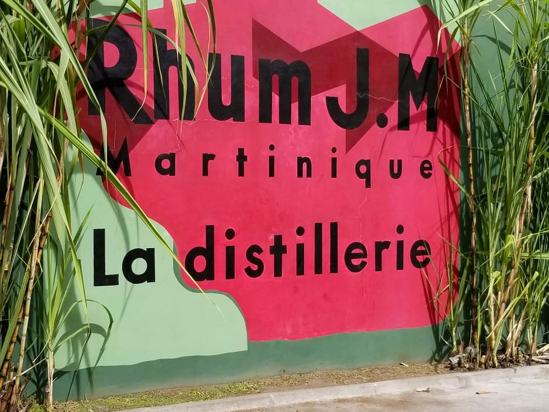 Rhum J.M mural and cane field