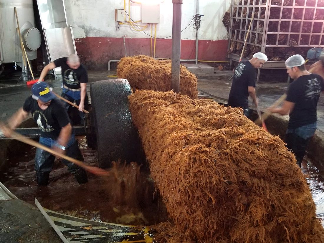 Rhum J.M open-air fermentation