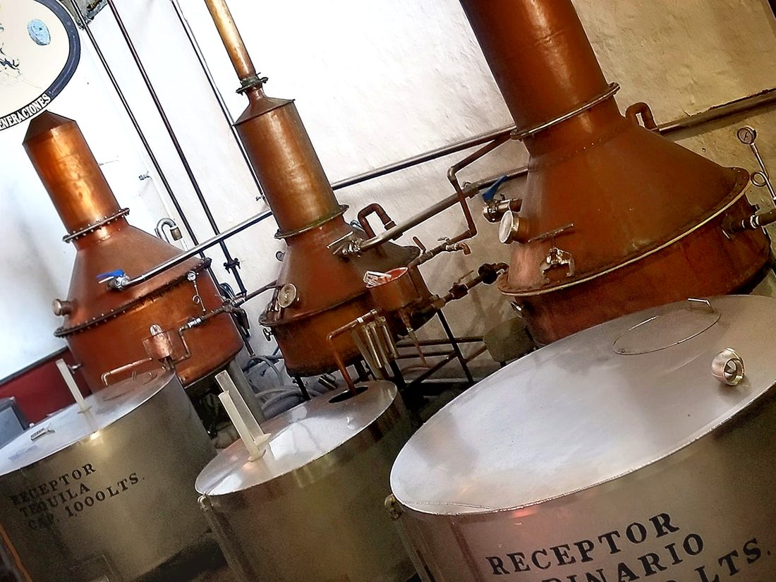 Copper Los Abuelos stills at Fortaleza